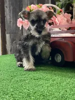 processed/b2119197-3f9a-4f63-9280-386020e49502/listing/c982cdb0-c753-485d-9eb5-4293a9d9636e/e6ae9680-f90d-4925-9139-73bf5bf6f4c0