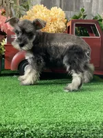 processed/b2119197-3f9a-4f63-9280-386020e49502/listing/c982cdb0-c753-485d-9eb5-4293a9d9636e/f7281c9a-6709-4c04-8e23-322177a0f01f