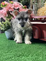 processed/b2119197-3f9a-4f63-9280-386020e49502/listing/d9dad82d-0a37-4ddd-a01a-a523a48898fb/2f5d5e32-ca56-41c8-b05c-c73a672b505e