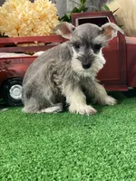 processed/b2119197-3f9a-4f63-9280-386020e49502/listing/d9dad82d-0a37-4ddd-a01a-a523a48898fb/de6b9ea8-4544-433b-9099-3a0f84c0d13d