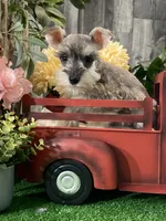 processed/b2119197-3f9a-4f63-9280-386020e49502/listing/d9dad82d-0a37-4ddd-a01a-a523a48898fb/eb99bff1-1ad4-4d99-822d-03acf82a21e8