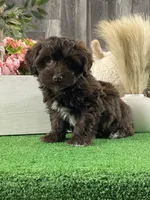 processed/b2119197-3f9a-4f63-9280-386020e49502/listing/ea5d6380-4a7a-46a8-b7b9-913d71a1c4ec/2e032b1d-802c-4381-a847-6d1abc603a57