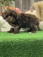 processed/b2119197-3f9a-4f63-9280-386020e49502/listing/ea5d6380-4a7a-46a8-b7b9-913d71a1c4ec/ea97451f-3cc3-4cf8-8264-0918b9aa0c65