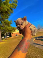 processed/b2183cdc-544a-4e5d-af22-b34cee985065/listing/e7183dd7-3e4f-4526-a02f-279f31a137be/1c9129fd-8deb-4b65-996f-d56f063d7d0e