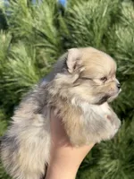 processed/b2237ef0-7004-4f6a-b01e-5a06921e2a83/listing/89081d42-2fef-47f5-a389-3f849bb5605c/66f2f256-62fe-492c-9569-b908a3b4f03f