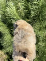 processed/b2237ef0-7004-4f6a-b01e-5a06921e2a83/listing/89081d42-2fef-47f5-a389-3f849bb5605c/7ab58343-adea-4f21-9da3-45a5c8b10db0