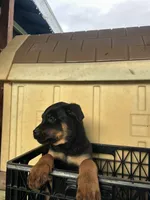 processed/b23509b5-184a-469b-a0a7-631b6dddd20c/listing/0e398ac2-d6b7-40b0-bc13-461776ed20e7/753dae07-6956-4c76-bb28-36733e032b22