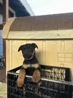 processed/b23509b5-184a-469b-a0a7-631b6dddd20c/listing/0e398ac2-d6b7-40b0-bc13-461776ed20e7/a67dba75-995b-4564-92d7-2607107d8db5