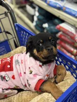 processed/b23509b5-184a-469b-a0a7-631b6dddd20c/listing/4189d5bd-f405-4ae6-9bcd-abfdc0a58c50/2aaf99a9-7a17-4509-be9e-262979c35631