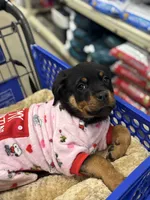 processed/b23509b5-184a-469b-a0a7-631b6dddd20c/listing/4189d5bd-f405-4ae6-9bcd-abfdc0a58c50/3475363e-8983-48cb-acae-903f97208836