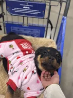 processed/b23509b5-184a-469b-a0a7-631b6dddd20c/listing/4189d5bd-f405-4ae6-9bcd-abfdc0a58c50/86876ef7-27db-41f3-ad18-a90dc35287d8