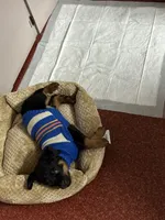 processed/b23509b5-184a-469b-a0a7-631b6dddd20c/listing/8ef171cc-dbb2-429a-bcb5-ffeac754c247/1c95f510-1fa2-4a81-8619-d181893f2c60