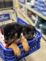 processed/b23509b5-184a-469b-a0a7-631b6dddd20c/listing/8ef171cc-dbb2-429a-bcb5-ffeac754c247/2248938b-1f38-42ec-b8af-db3c5fd1fec8