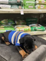 processed/b23509b5-184a-469b-a0a7-631b6dddd20c/listing/8ef171cc-dbb2-429a-bcb5-ffeac754c247/534bd63d-47d9-4def-bcbe-81305f35faa8