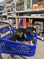 processed/b23509b5-184a-469b-a0a7-631b6dddd20c/listing/8ef171cc-dbb2-429a-bcb5-ffeac754c247/7c21d807-3adc-4e89-bbe6-e8b8fd92172f