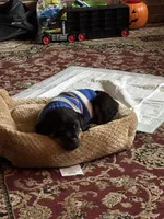 processed/b23509b5-184a-469b-a0a7-631b6dddd20c/listing/b3a6c517-0f72-401c-a329-c53b9212f876/8ef7edb5-9336-4c80-8f62-34ce8e4b80f1