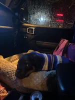 processed/b23509b5-184a-469b-a0a7-631b6dddd20c/listing/b3a6c517-0f72-401c-a329-c53b9212f876/bf958c94-f9bc-4b84-9842-c7d3bb3eae1b