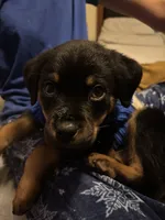 processed/b23509b5-184a-469b-a0a7-631b6dddd20c/listing/b3a6c517-0f72-401c-a329-c53b9212f876/c7769317-6c97-4b73-86a1-f62ac9606456