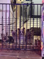 processed/b2350f77-ace0-4c2d-9f50-7a7c2b2d36ba/facility/e93606e6-8aeb-4183-af97-0986d37d1347