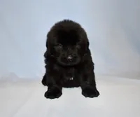 processed/b238c642-22c0-4503-b9df-0151e607c9f9/listing/30cec1f9-a290-4146-958f-a47c82f9971c/51cc1e7f-b878-4a19-997d-28d5c95242a0