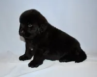 processed/b238c642-22c0-4503-b9df-0151e607c9f9/listing/30cec1f9-a290-4146-958f-a47c82f9971c/72cf99a4-7916-4ddc-b5f5-24a202173d48