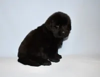 processed/b238c642-22c0-4503-b9df-0151e607c9f9/listing/30cec1f9-a290-4146-958f-a47c82f9971c/86a93e41-9c8a-45cd-bb31-75d11c1a41c7