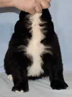 processed/b238c642-22c0-4503-b9df-0151e607c9f9/listing/31b8ce32-ecfd-4f6e-9579-cefd750ee2ca/00fd170c-072e-47f9-b612-106189631c52