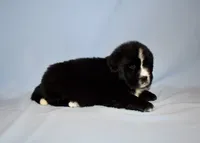 processed/b238c642-22c0-4503-b9df-0151e607c9f9/listing/31b8ce32-ecfd-4f6e-9579-cefd750ee2ca/47ecfd7c-7078-48ec-b4ca-ad994fe3cb65