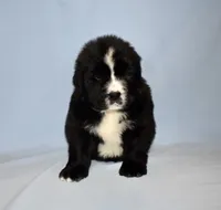 processed/b238c642-22c0-4503-b9df-0151e607c9f9/listing/31b8ce32-ecfd-4f6e-9579-cefd750ee2ca/e33b7d39-fa25-4ac9-a615-0c467aa08479