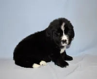 processed/b238c642-22c0-4503-b9df-0151e607c9f9/listing/31b8ce32-ecfd-4f6e-9579-cefd750ee2ca/f8ed293b-e48b-4f6c-a99e-d1b93e89ff10