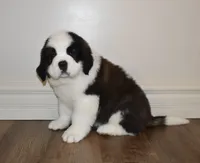 processed/b238c642-22c0-4503-b9df-0151e607c9f9/listing/5b58e7fb-6451-4133-a05e-fa69f0f403e7/95c450f5-f71a-4f0f-a416-15f132798b19