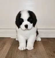 processed/b238c642-22c0-4503-b9df-0151e607c9f9/listing/5b58e7fb-6451-4133-a05e-fa69f0f403e7/d06742a0-9d69-4e1a-8828-b2ed50495c39