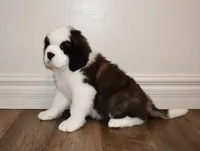 processed/b238c642-22c0-4503-b9df-0151e607c9f9/listing/962966c2-7cc2-4b61-b42a-a48898d7dee4/6ff66063-c310-43bd-865b-235e1bd25478