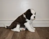 processed/b238c642-22c0-4503-b9df-0151e607c9f9/listing/962966c2-7cc2-4b61-b42a-a48898d7dee4/77702088-bbe8-40d2-9438-ed9019d38e0c