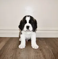 processed/b238c642-22c0-4503-b9df-0151e607c9f9/listing/b483befd-2090-4f7c-b148-bbef4bb19c42/b862be4f-8088-470e-b8ce-272bcca46adc