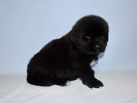 processed/b238c642-22c0-4503-b9df-0151e607c9f9/listing/b58a7a73-ef3c-4918-8bdb-f7b1a9305ebc/0dec3772-8791-4dc7-bcdb-cfab93b4cbdc