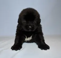 processed/b238c642-22c0-4503-b9df-0151e607c9f9/listing/b58a7a73-ef3c-4918-8bdb-f7b1a9305ebc/297cc24d-7095-4a3f-8e34-5e559513620b