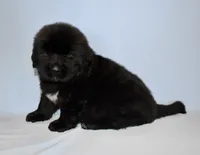 processed/b238c642-22c0-4503-b9df-0151e607c9f9/listing/b58a7a73-ef3c-4918-8bdb-f7b1a9305ebc/3193127d-6c0a-4bb9-bc58-50dbcf9e57b6