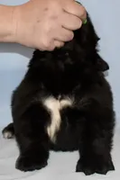 processed/b238c642-22c0-4503-b9df-0151e607c9f9/listing/b58a7a73-ef3c-4918-8bdb-f7b1a9305ebc/ec25c3d7-cd69-423a-9953-4d0a3d8ef655