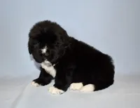 processed/b238c642-22c0-4503-b9df-0151e607c9f9/listing/c62f3108-b65f-4998-af96-87ef30579aa9/1a27b11c-df4c-4232-82af-469be7fa0bae