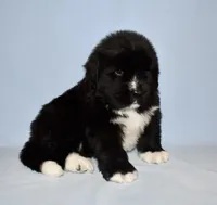 processed/b238c642-22c0-4503-b9df-0151e607c9f9/listing/c62f3108-b65f-4998-af96-87ef30579aa9/6f4576e6-68dd-44dc-bcdd-0cbb830248f7