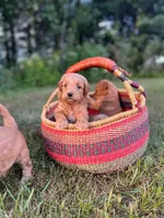 processed/b2485c9a-3230-4b27-8b11-1a74a0a759ce/facility/e1e48152-0ff1-476c-8949-8f6769965117