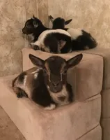 processed/b2551cc7-3462-4416-887b-b66bc56235bb/facility/0f8c65b5-546d-4ec2-ac2a-c4c4175ca4fd