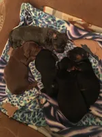 processed/b2551cc7-3462-4416-887b-b66bc56235bb/facility/1ac8e586-9b08-4b21-8aa1-f877e58fdbe4