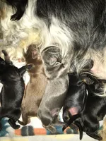 processed/b2551cc7-3462-4416-887b-b66bc56235bb/facility/33b16bbd-710a-4d87-8837-bfce95b3e368