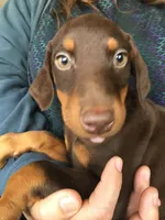 processed/b2551cc7-3462-4416-887b-b66bc56235bb/facility/5f773eb1-9703-4d33-afed-5a843c2a86bc