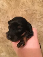 processed/b2551cc7-3462-4416-887b-b66bc56235bb/facility/77c337c4-37eb-468f-96cb-1baa1cc84c80