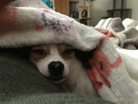 processed/b2551cc7-3462-4416-887b-b66bc56235bb/facility/bdb07c1e-4d5a-4682-a010-5ee86787d1b8