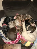 processed/b2551cc7-3462-4416-887b-b66bc56235bb/facility/eaae8982-2d8f-4ceb-9fae-d446e8e47f2e