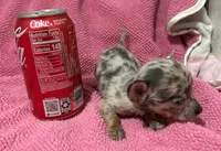 processed/b2551cc7-3462-4416-887b-b66bc56235bb/listing/103966af-73b1-42fe-ba16-01bb2e0c3d48/06194361-acb8-4fb7-9e95-f5f91ee0dfbf